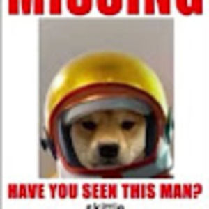 Meet your Posher, Adam